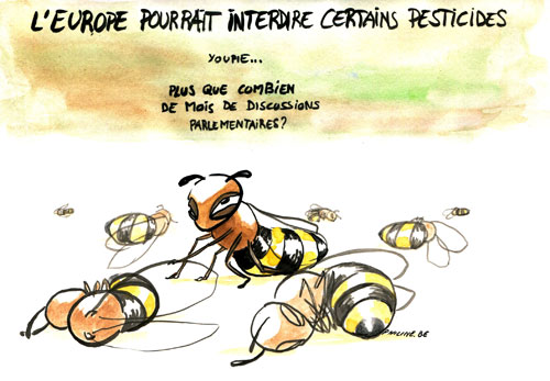 Abeilles, Pesticides, Europe : les clés pour comprendre | Apis Bruoc Sella